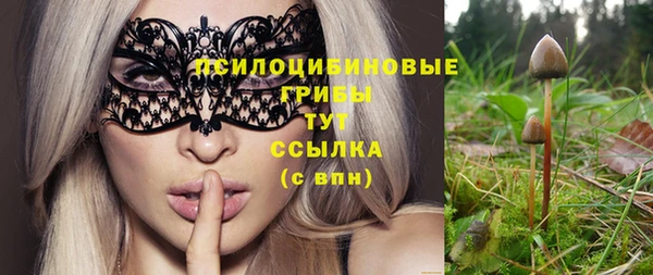 винт Сафоново